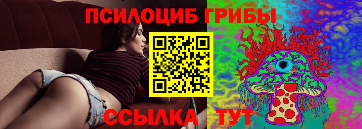 как найти закладки  Вход с VPN  Галлюциногенные грибы GOLDEN TEACHER  Троицк  Псилоцибиновые грибы ЛСД 