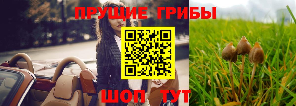 Псилоцибиновые грибы мицелий Троицк